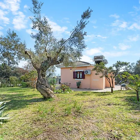 A & G House